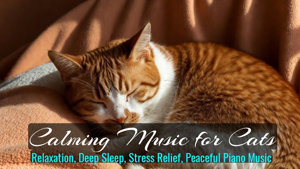 Calming Music for Cats - Relaxation, Deep Sleep, Stress Relief, Peaceful Piano Music | Season 54