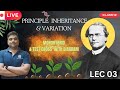 MONO HYBRID CROSS & TEST CROSS | PRINCPLE INHERITANCE & VARIATION | LEC 03 | BY DR KARAN VARDHANI