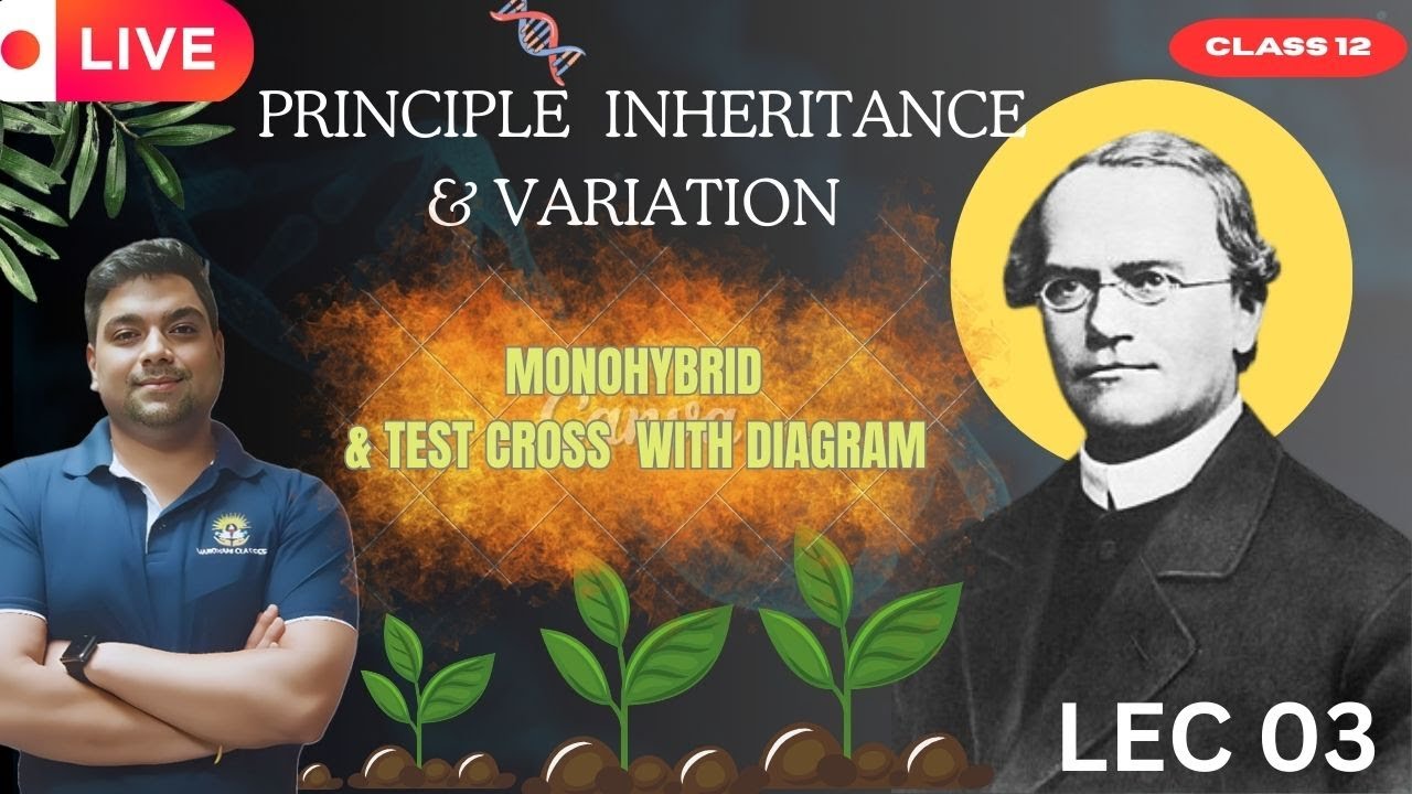 MONO HYBRID CROSS & TEST CROSS | PRINCPLE INHERITANCE & VARIATION | LEC 03 | BY DR KARAN VARDHANI