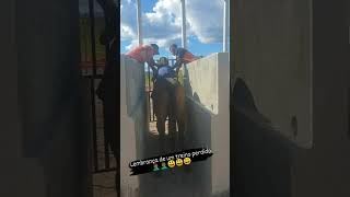 Treino de Prado #cavalo