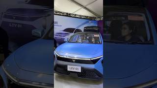 Lev01Naima