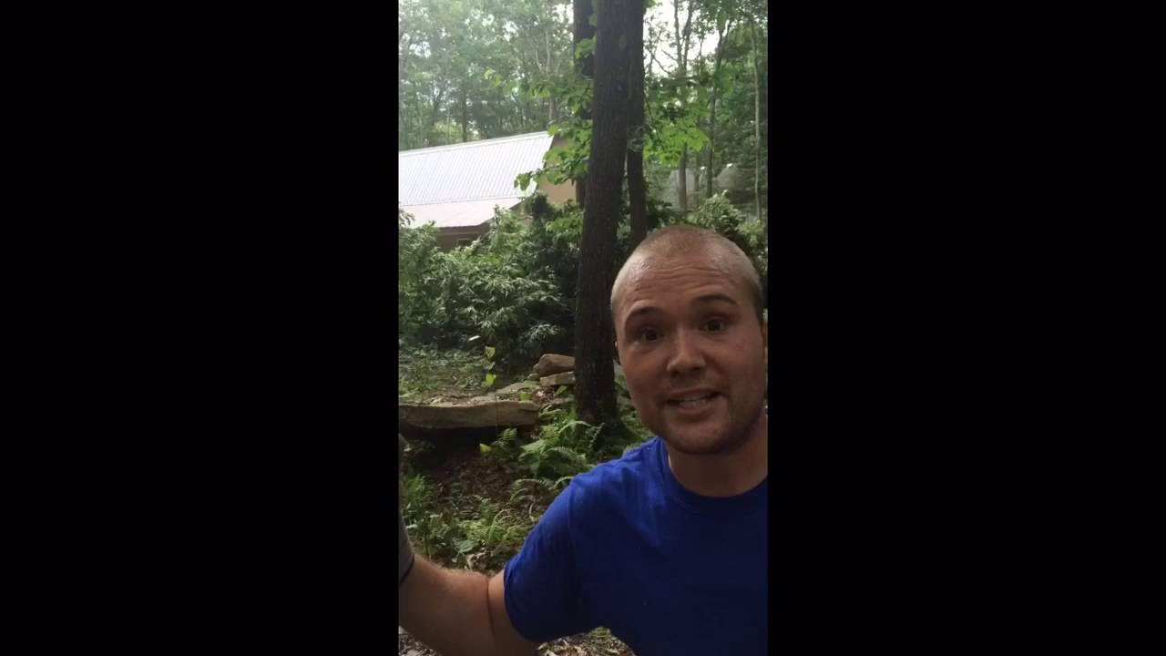 how-to-cut-large-tree-using-pull-hoist-youtube