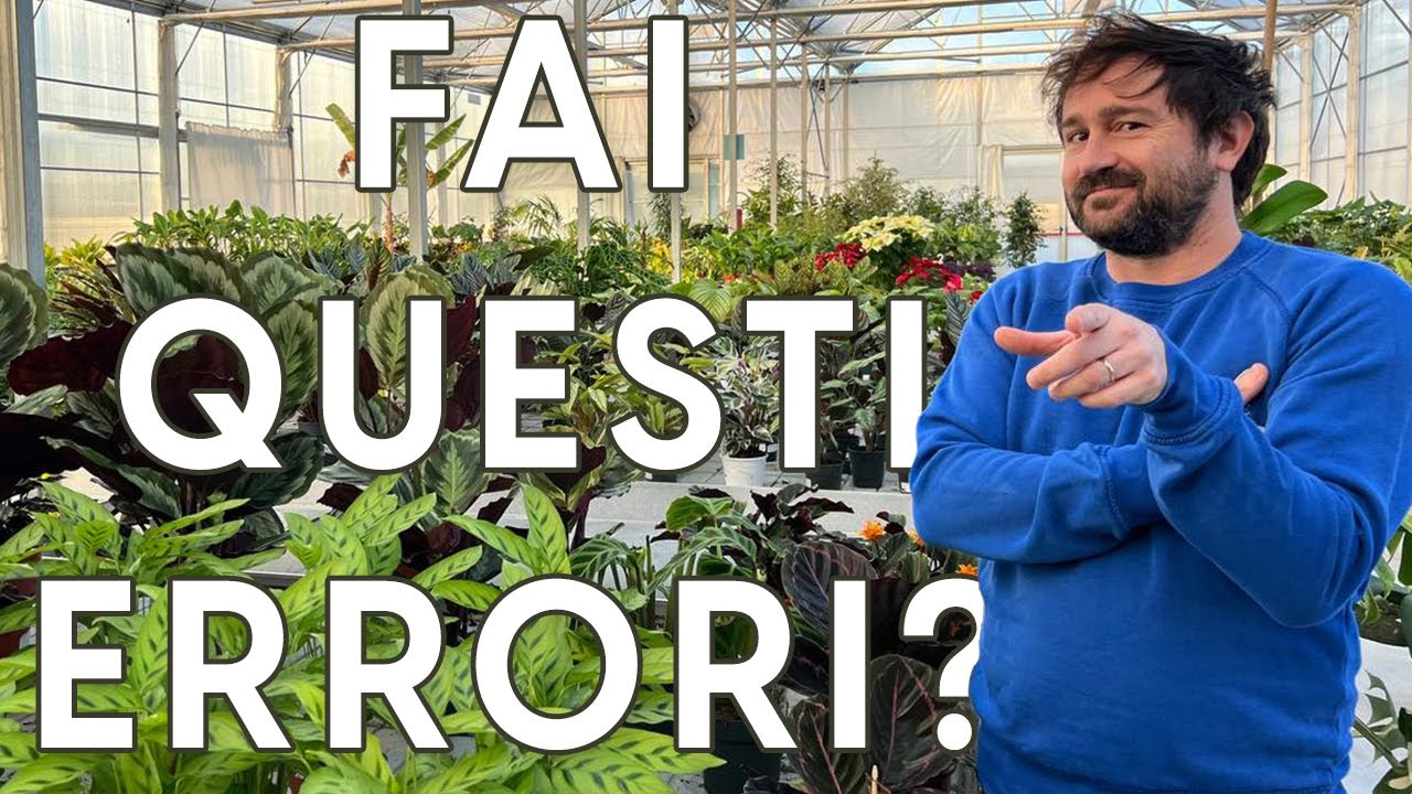 5 errori + 1 , da non commettere quest'anno con le tue piante!
