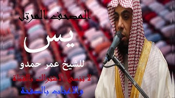 سورة يس |الشيخ عمر حمدو | Surah-YaSin