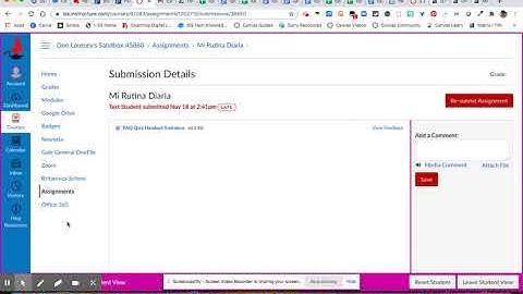 Canvas Parent U | How do I Know if an Assignment was Successfully Submitted?