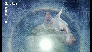 Kleiman - Infinite Potentiality (Original Mix)