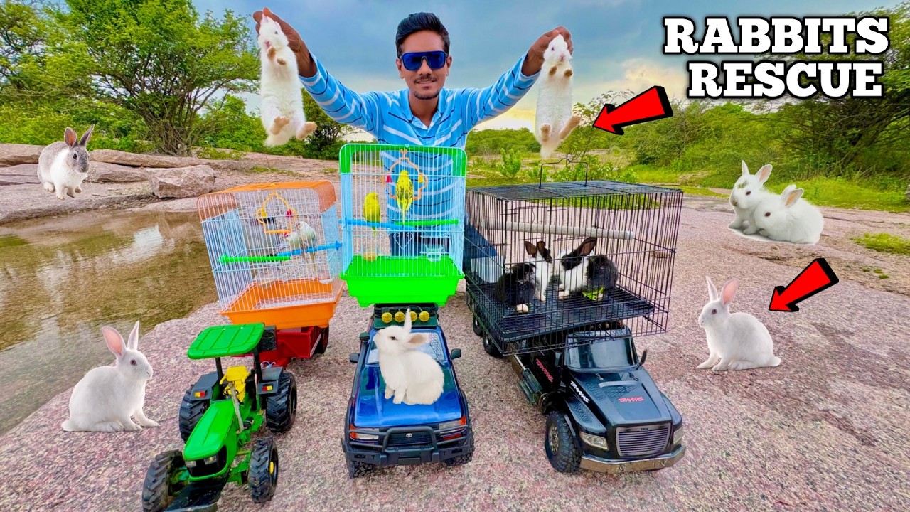 RC Jeep Wrangler Rescue Forest Birds & Rabbits  - Chatpat toy TV
