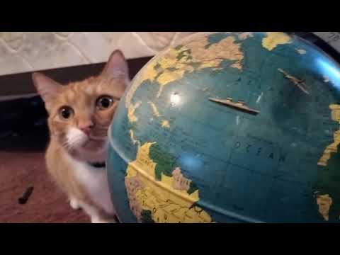 Oskar proves the earth is round