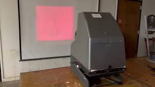 IMG 7412