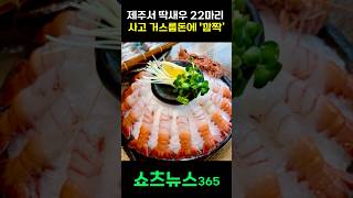 제주서 딱새우 22마리 사고 거스름돈에 &#39;깜짝’