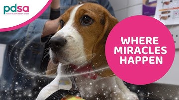 Where miracles happen | Winter Appeal 2025