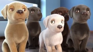 Pip | A Short Animated Film by Southeastern Guide Dogs\/beauty pets.#Guidedog