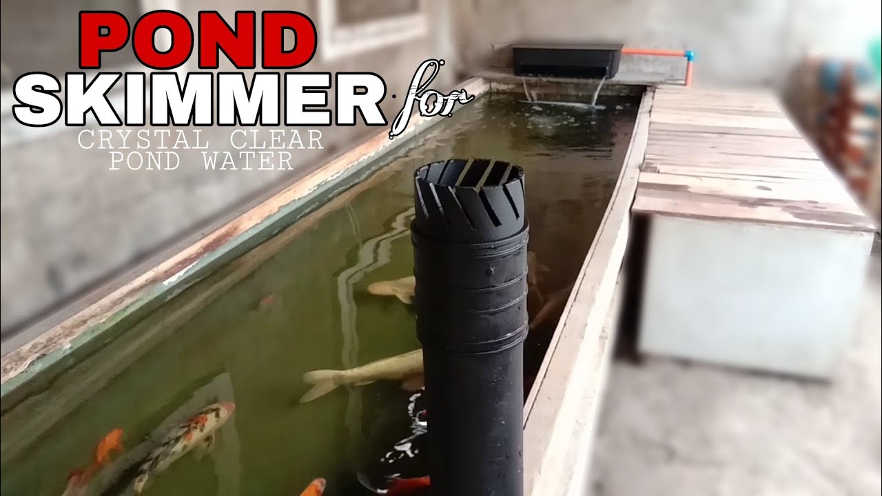 HOW TO MAKE DIY POND SKIMMER | pond aeration setup - YouTube