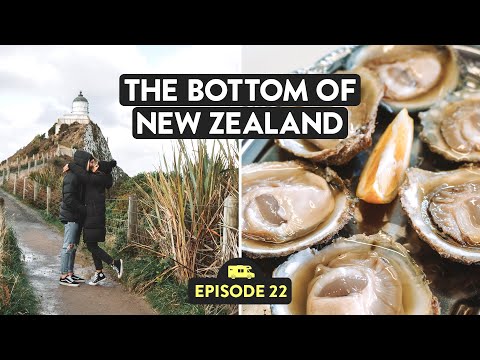 Video: Guida completa ai Catlins nell'Isola del Sud della Nuova Zelanda