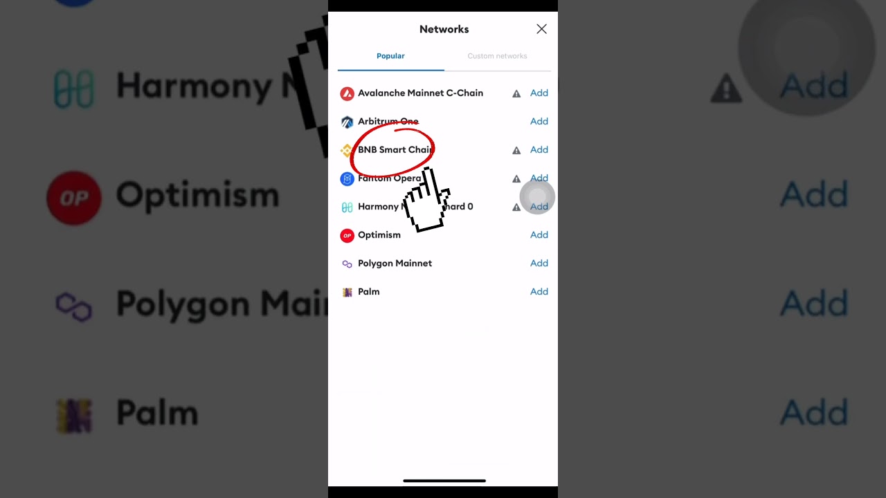 Switch Network to BNB in Metamask