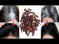 White Hair To Black Permanently in 30 Minutes Naturally | For Jet Black At Home | 100% Works