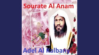 Sourate Al Anam, Pt. 1 screenshot 4