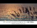 秋、しみじみ感じるクラシック名曲集・Autumn Classical Music Collection(長時間作業用BGM)