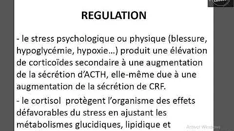 Pourquoi trop d Androgene ? Pourquoi trop d Androgene ?