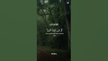سورة العنكبوت 🤍 #القران_الكريم #