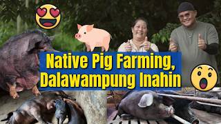 Native Pig Farming Dalawampung Inahin
