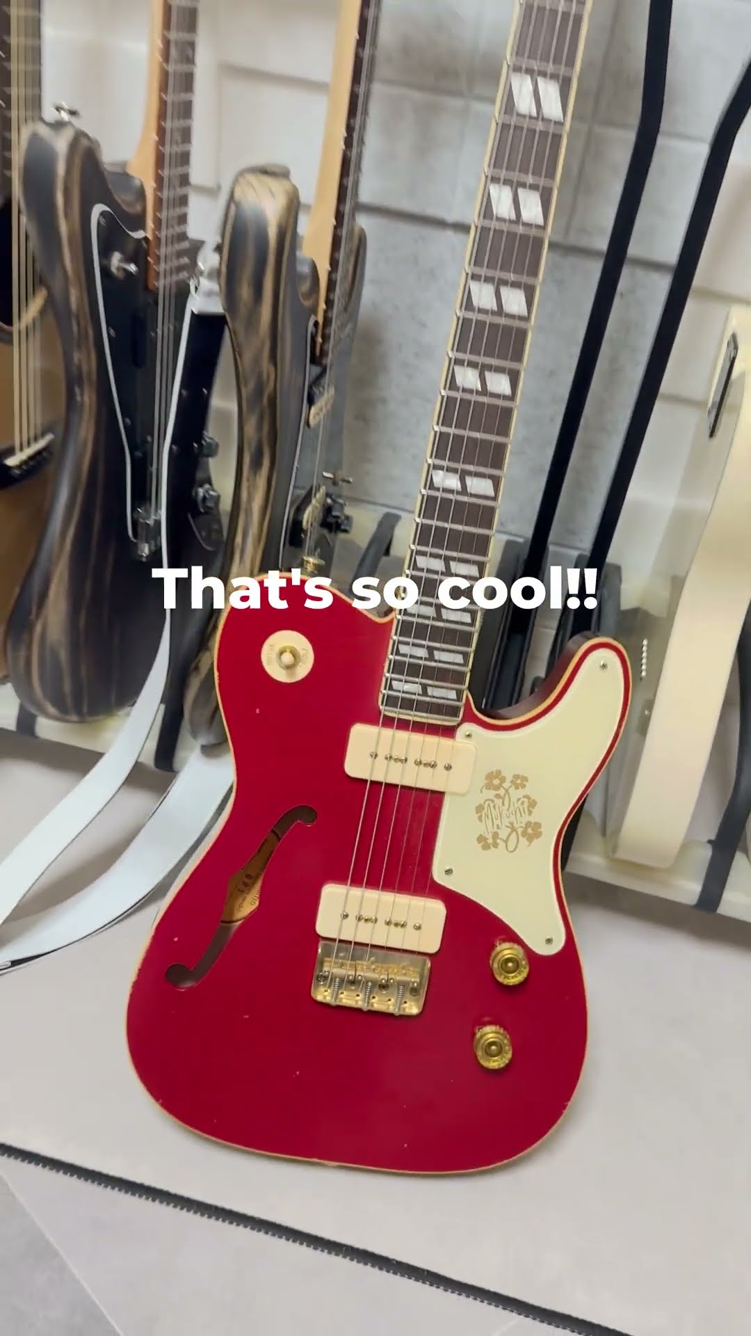 ギター紹介!! Bruno TN-295 LIMITED mukuchi signature model No.001