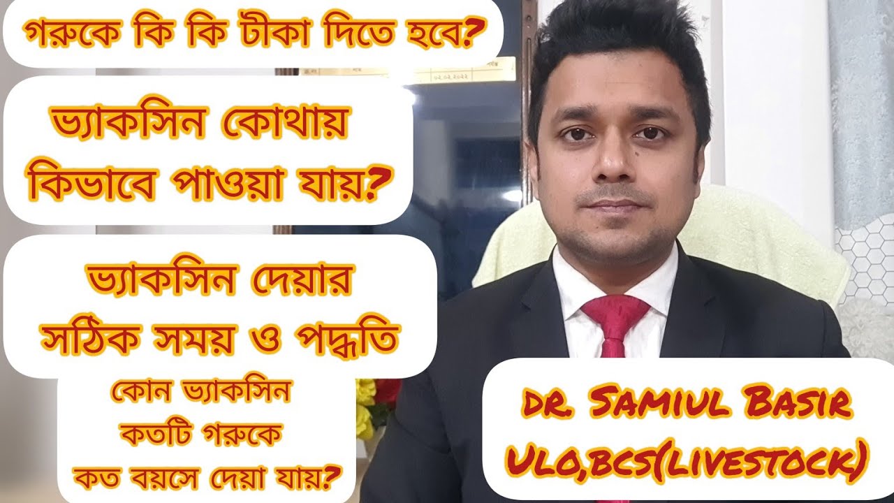 গরুর টিকা দেওয়ার নিয়ম। গরুর ভ্যাকসিন দেওয়ার নিয়ম।গরুর টিকার তালিকা।গরুর ভ্যাকসিন সিডিউল।গরুর টিকা।