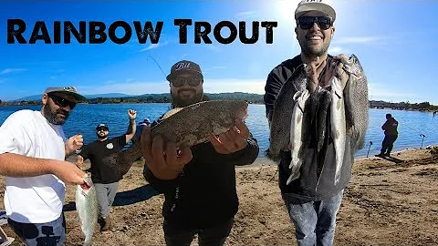 Rainbow Trout Action- Santa Ana River Lakes