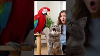 🐱💥 Unexpected Attack! Parrot Pranks Sleeping Cat 😂