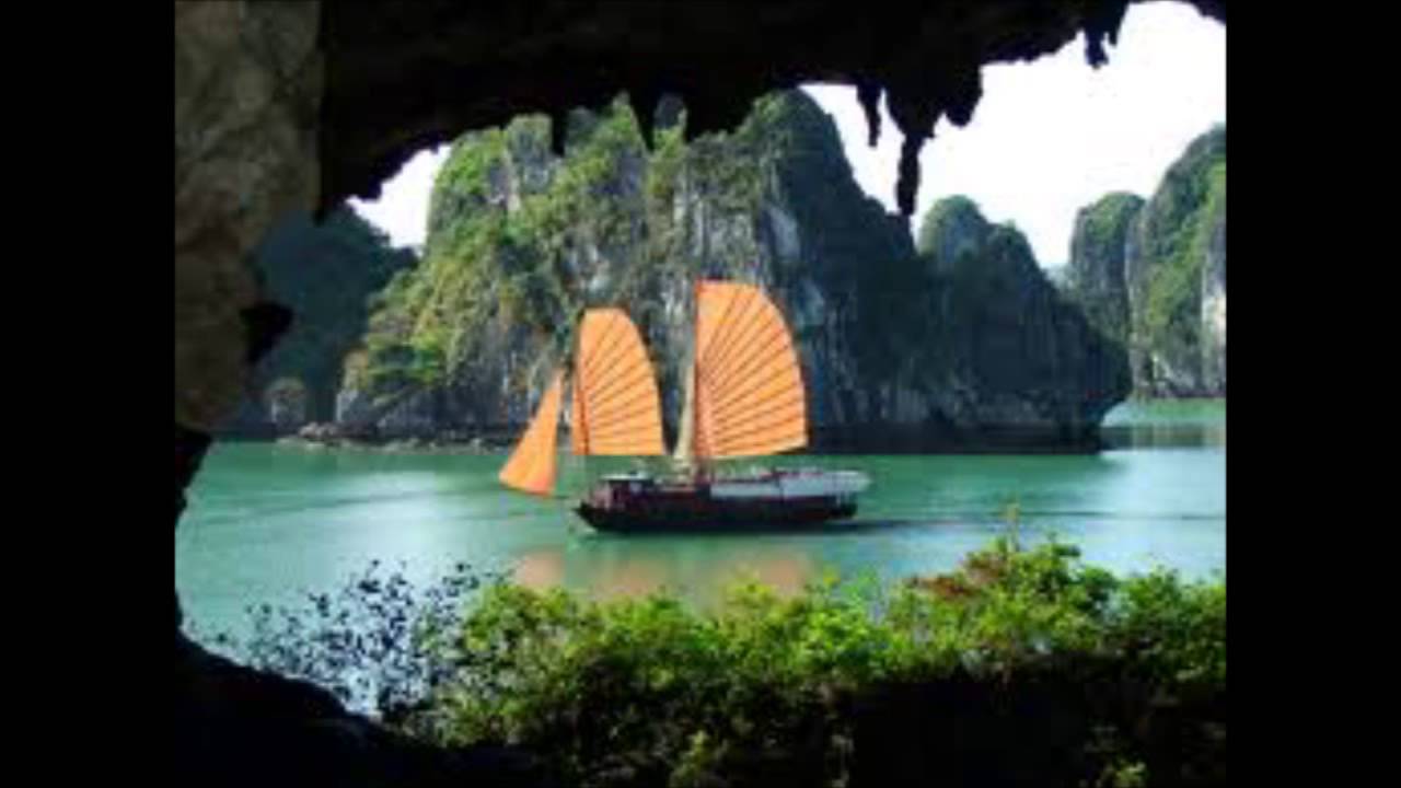 language translator VIETNAMESE READING#5