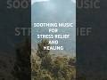 Soothing Music for Stress Relief & Healing # #relaxingmusic #meditationmusic #relax #stressrelief