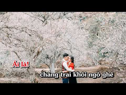 Gặp Nhau Trong Rừng Mơ  (Song Ca) KARAOKE