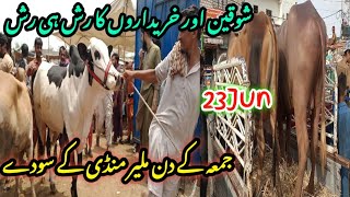 MALIR MAWESHI MANDI Latest update| 23-Jun2023| Cow mandi Karachi| bakra Eid special 2023|
