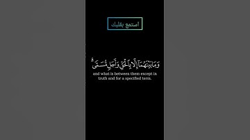 سورة الروم يعلمون ظاهرا من الحياة الدنيا بصوت القارئ ياسرالدوسري #ياسرالدوسري #قرآن #قران #قرآن_كريم