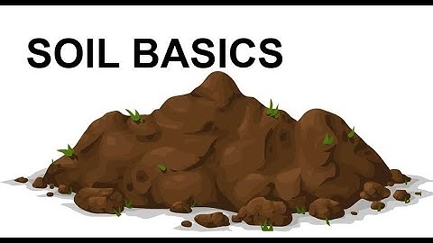 Soil Basics