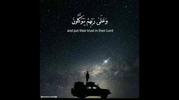 بصوته الخاشع يقرأ من سورة النحل🐝 |رعد الكردى| 💙😌