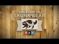Welcome To Skunk Bear!