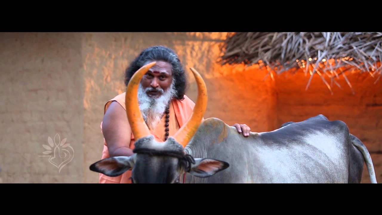spiritual health SANJEVI RAJA SWAMIGAL explaining about HOLY COW(கோமாதா)