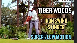 Tiger Woods Iron Swing in Super Slow Motion,  face on. "STINGER"