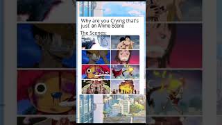 Sad Moments In One Piece Hit Different