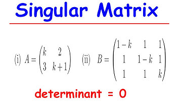 Singular Matrix Explained | Definition, Examples & How to Identify a Singular Matrix