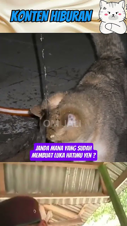 oyen heartbroken again‼️ #funny #funny #shortvideo