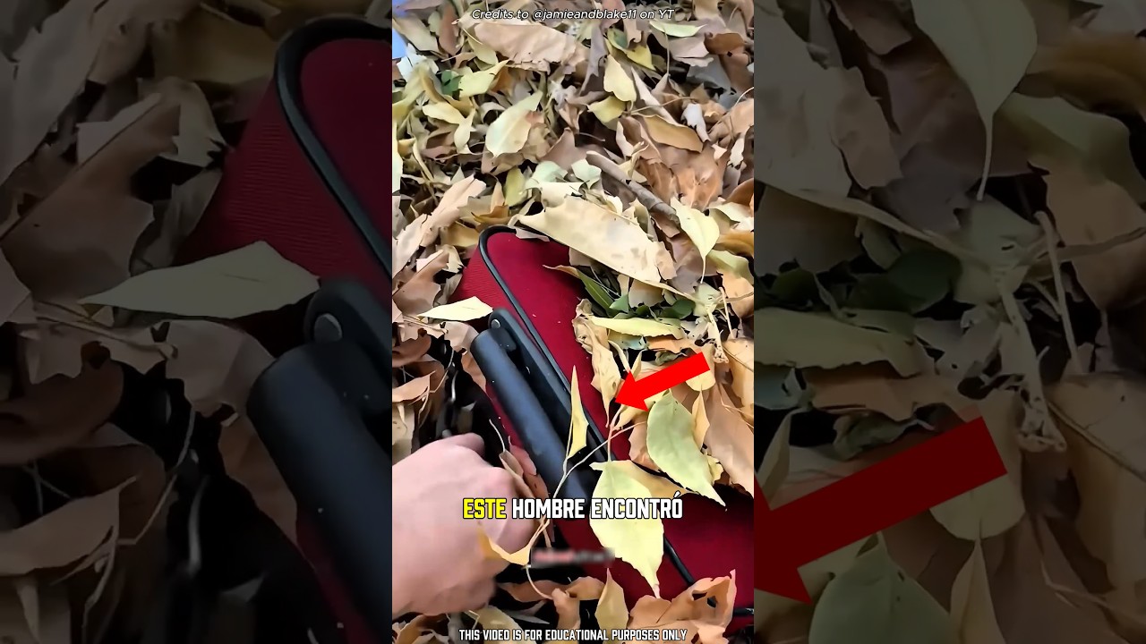 Encontró un tesoro escondido dentro de una bolsa en la basura 😮 #shorts