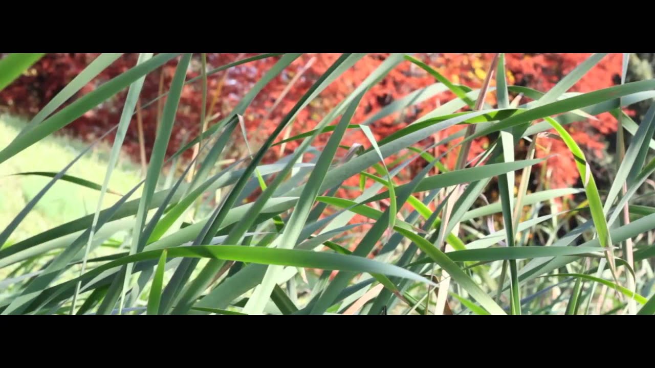 Recycling Of Nature YouTube