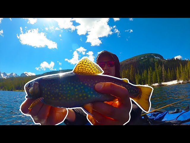 Fishing For Trophy Sized Brook Trout in Colorado's Indian Peaks Wilderness!  