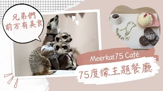 【TAIPEI餐廳】台北小巨蛋Meerkat75度獴主題餐廳今天才知道狐獴的癖好竟是....