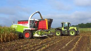 2026 Loos corn silage