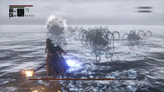 Bloodborne - Rom, The Vacuous Spider Kill