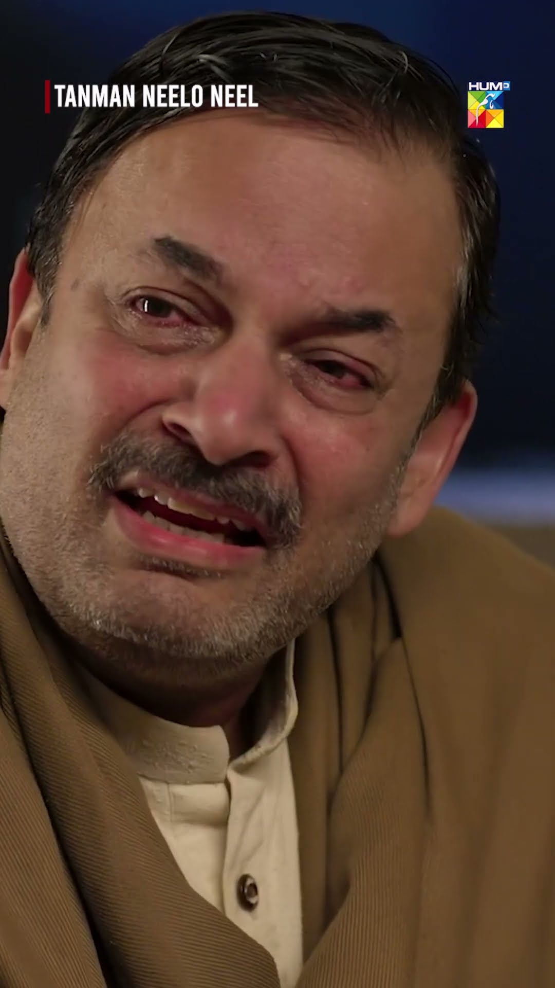 Mein Aik Qatil Houn..!! #shorts #seharkhan #shujaasad #tanmanneeloneel #humtv