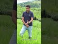 BRS Carinás